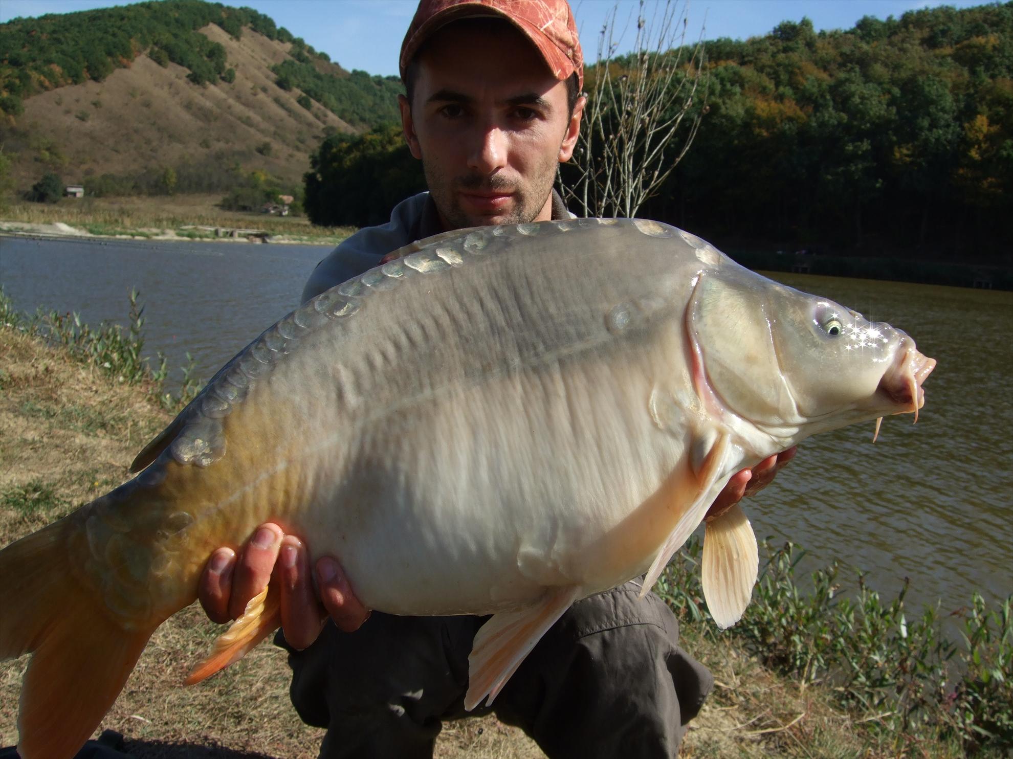 Diverse - picture-013.jpg